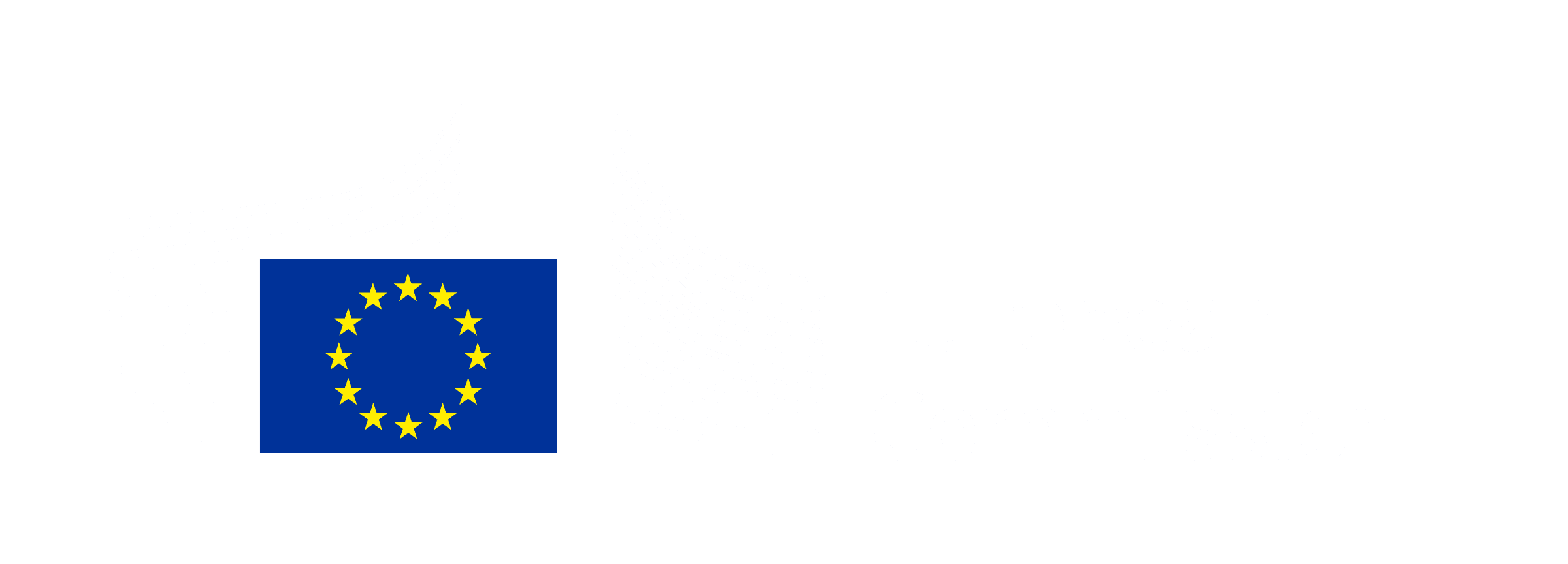 EU Comission Logo